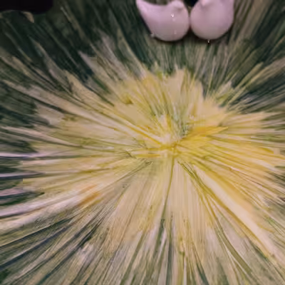 شیرینی خوری سرامیکی هیوا طرح نیلوفر کد 11294816