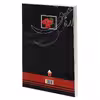 کتاب آواره عشق اثر اعظم خمسه عشری انتشارات نور گیتی