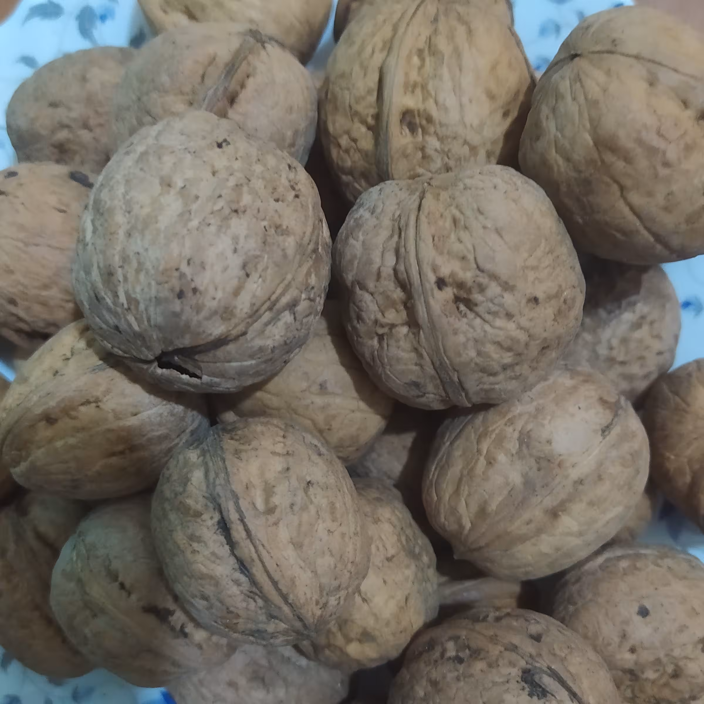 گردو ایرانی  با پوست 5کیلویی با ارسال رایگان  از همدان محصول بهترین باغات همدان