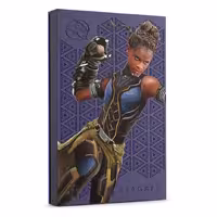 هارد اکسترنال سیگیت Shuri SE FireCuda 2TB