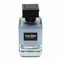 ادو پرفیوم مردانه رودیر پلاس مدل Iron Side حجم 100 میلی لیتر