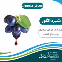 شیره انگور اعلاءدرجه 1 سلسبیل 