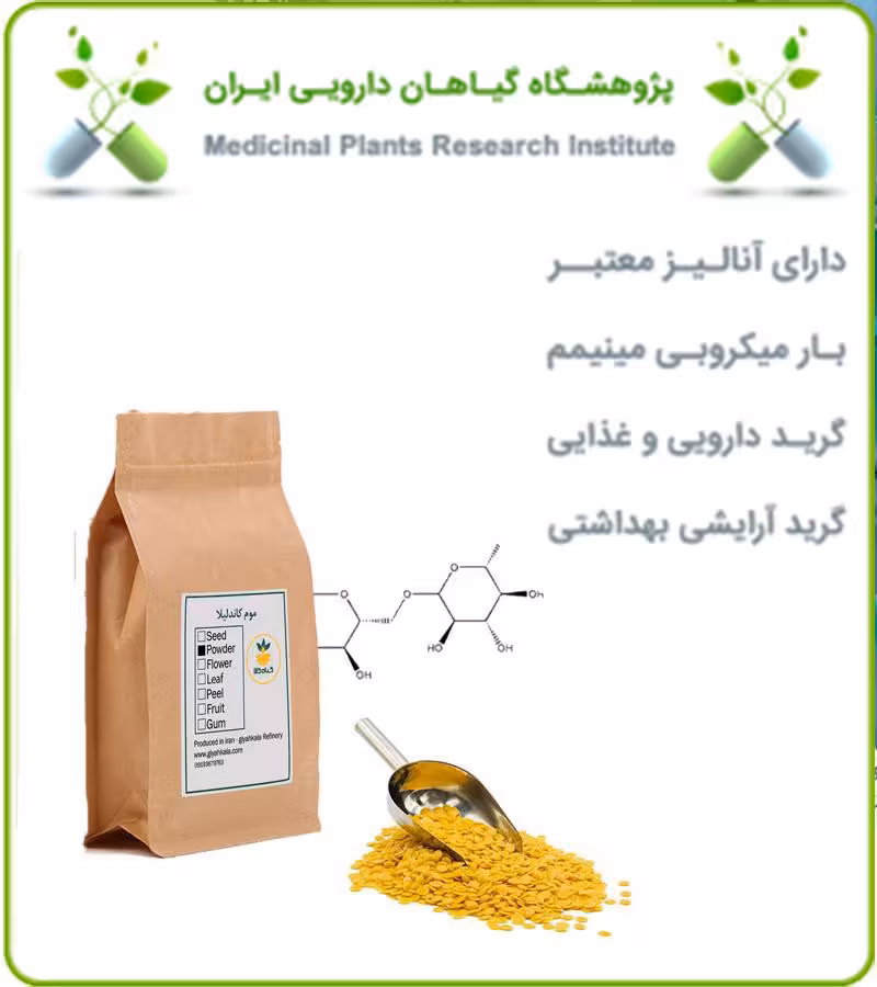 موم کاندلیلا