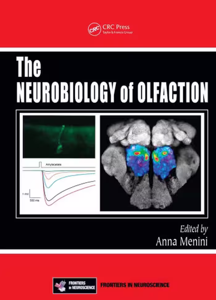 خرید و دانلود نسخه کامل کتاب The neurobiology of olfaction