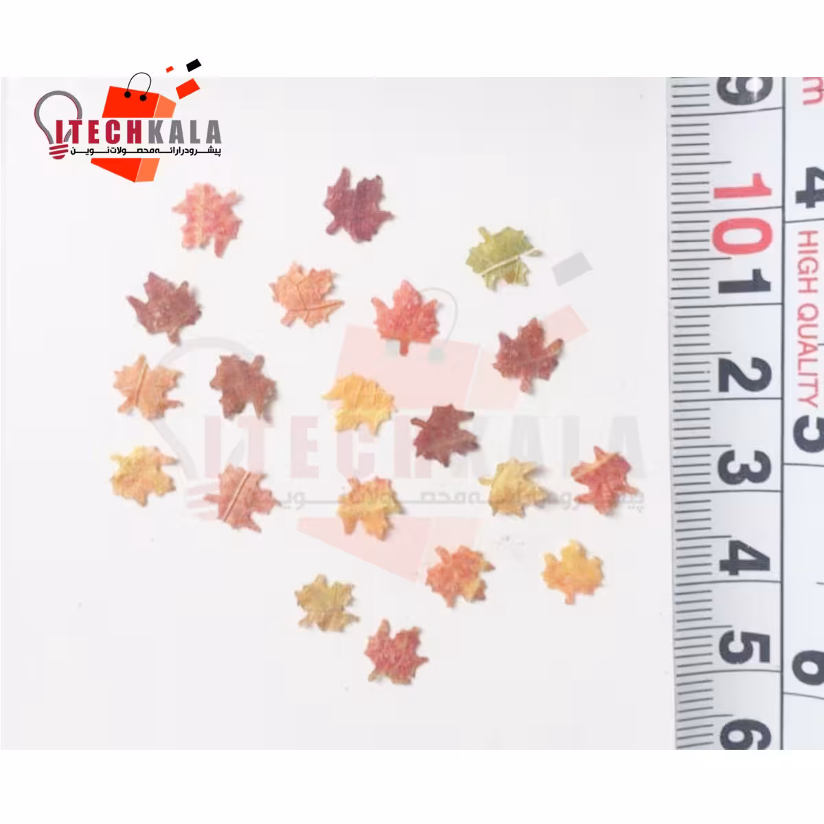 برگ پاییزی ریز طبیعی (20 عددی)