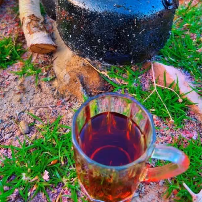 چای خرما به صورت عمده