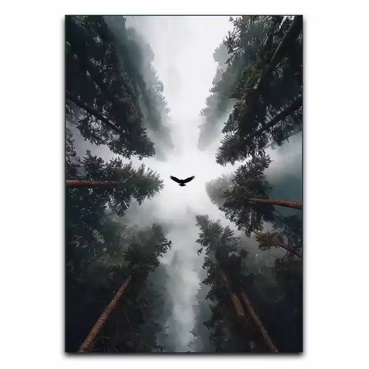 تابلو عقاب بر فراز جنگل