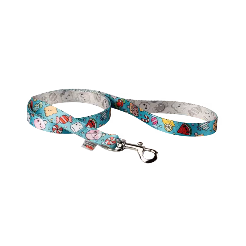 لید دینو برند Ninapet نیناپت سایز 2