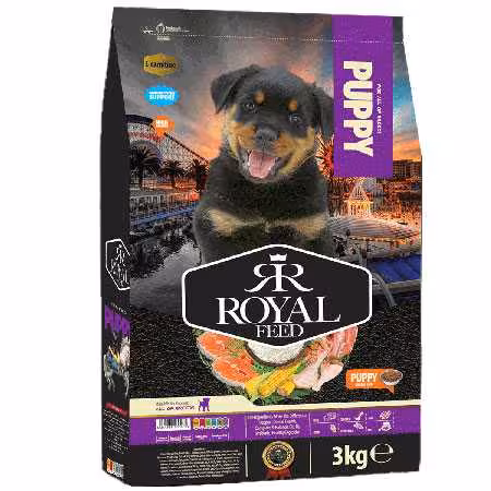 غذای خشک پاپی رویال فید