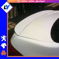 بال صندوق 206 اس دی TGS