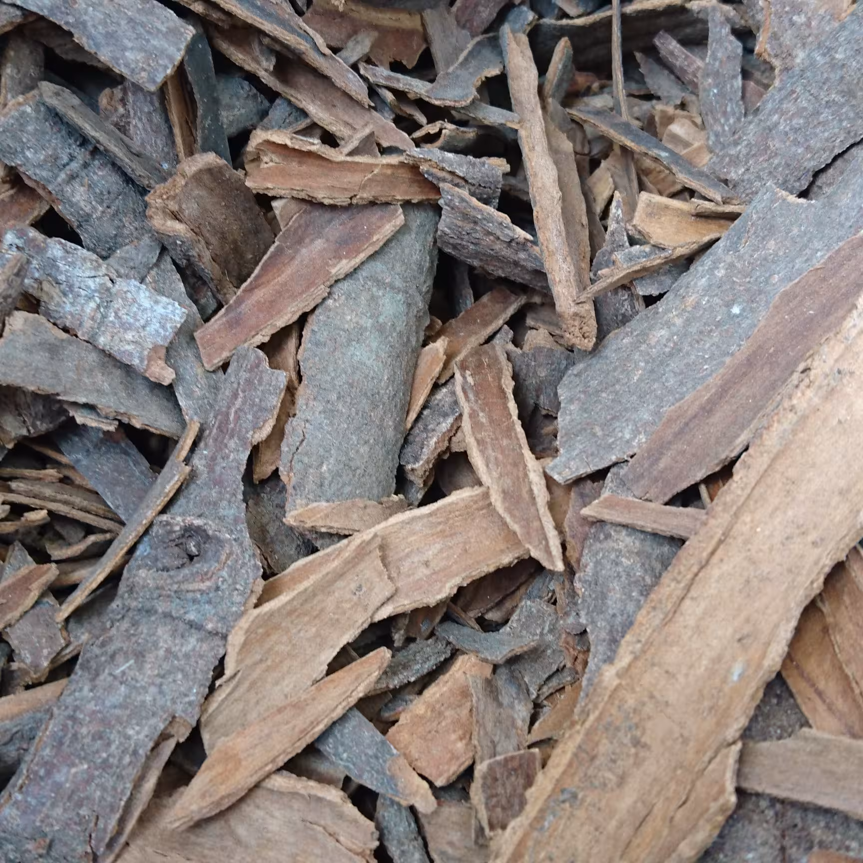 دارچین ناساب (یک سیر)