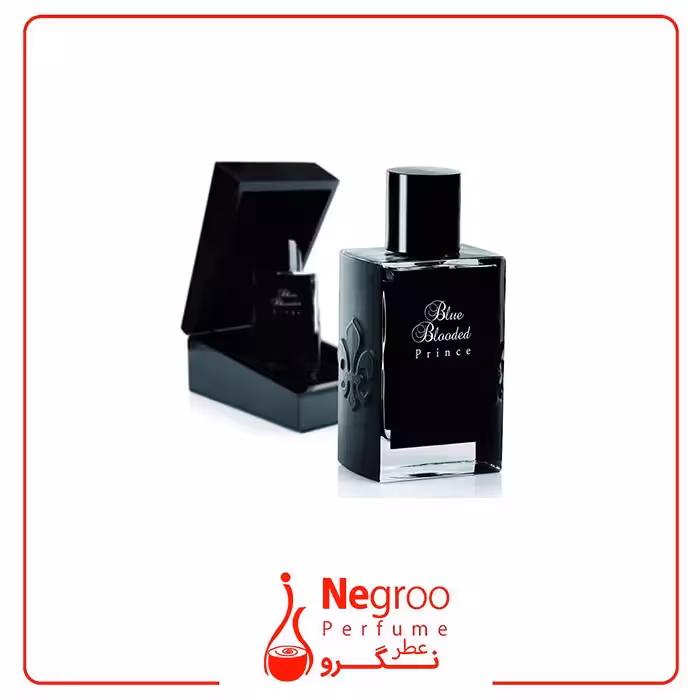 عطر ادکلن امرداد بلو بلودد پرینس 100 میل