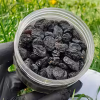 مویز  لوکس بدون هسته 100 گرمی 