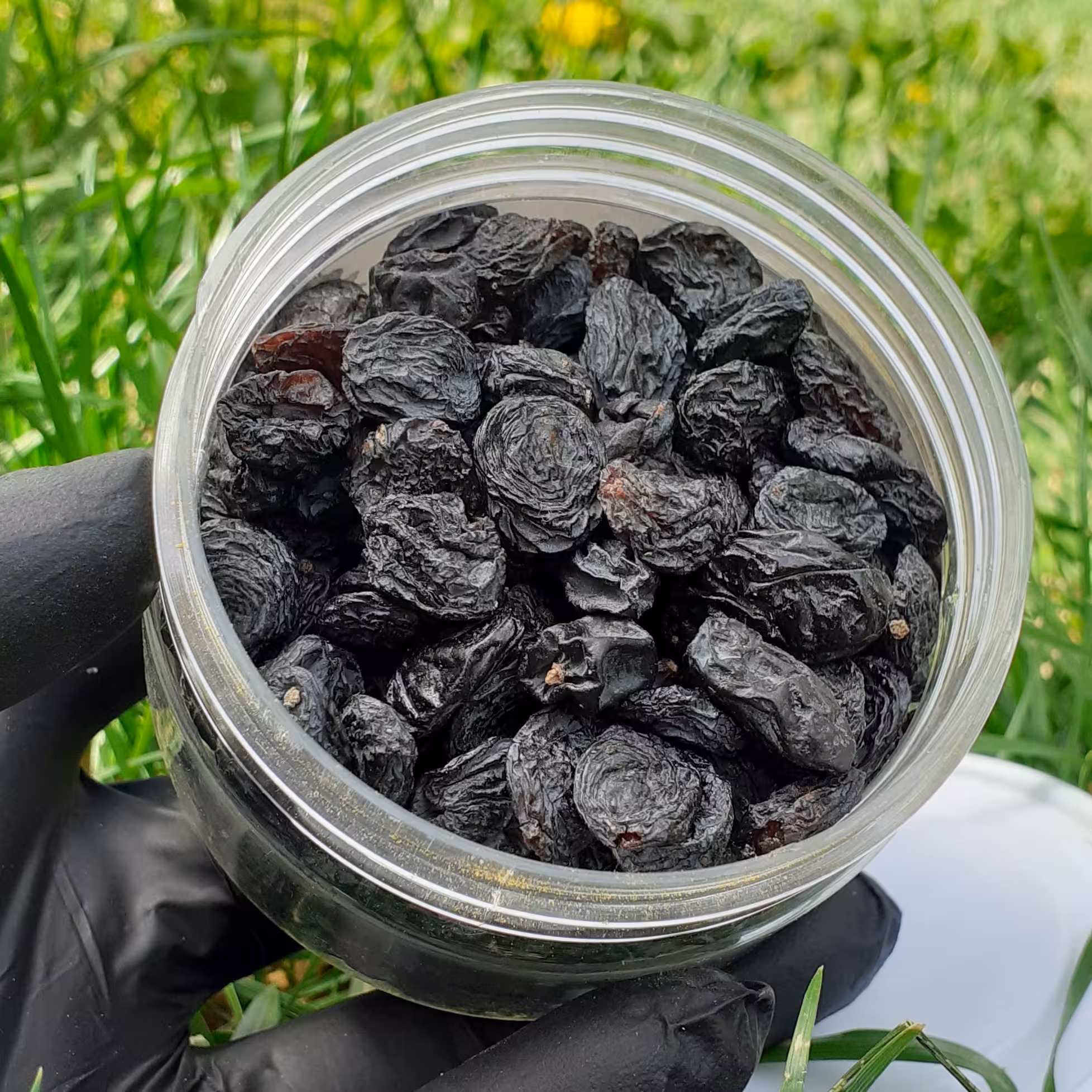 مویز  لوکس بدون هسته 100 گرمی 