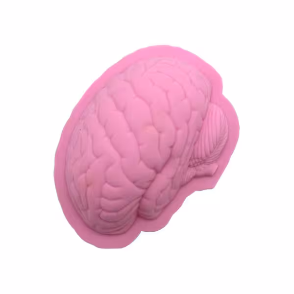 قالب سیلیکونی طرح مغز