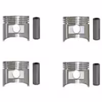 پیستون-گژن پین با خار 020 -پژو ROA هانتر پارت کد 430305