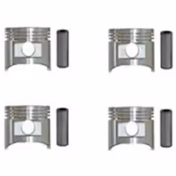 پیستون-گژن پین با خار 020 -پژو ROA هانتر پارت کد 430305