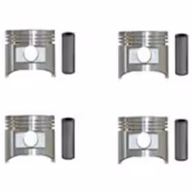 پیستون-گژن پین با خار 020 -پژو ROA هانتر پارت کد 430305