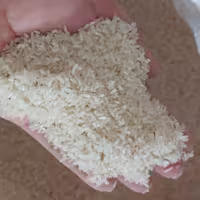سرلاشه اعلا برنج فجر