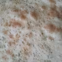 نان خانگی طبیعی(با تخمیر طبیعی بدون جوش سفارش دهید)
