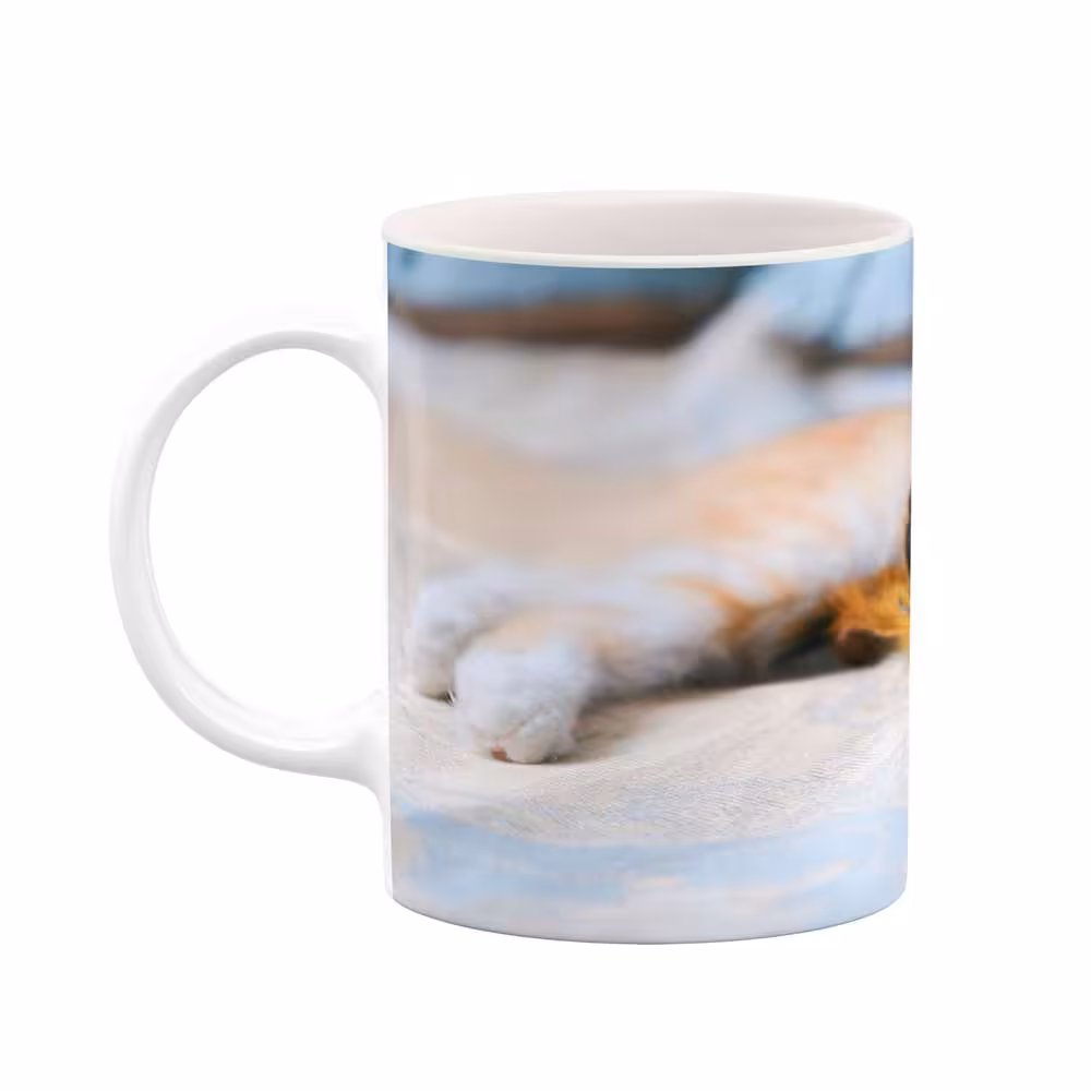 ماگ کاکتی طرح گربه مدل mgs15484