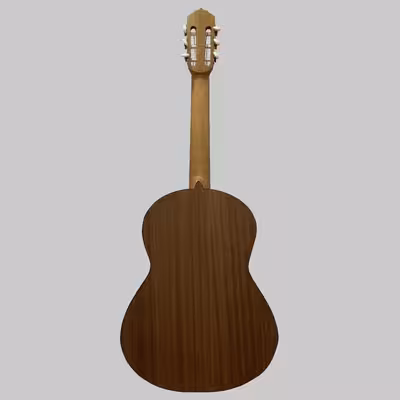 گیتار مدل C70