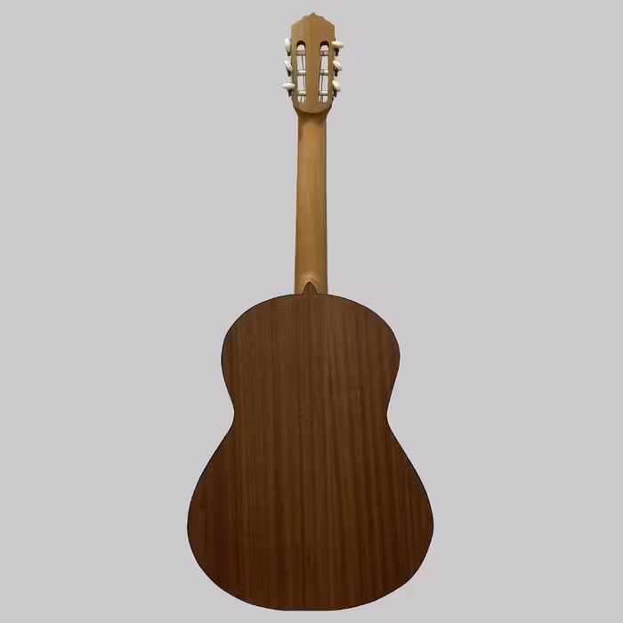 گیتار مدل C70