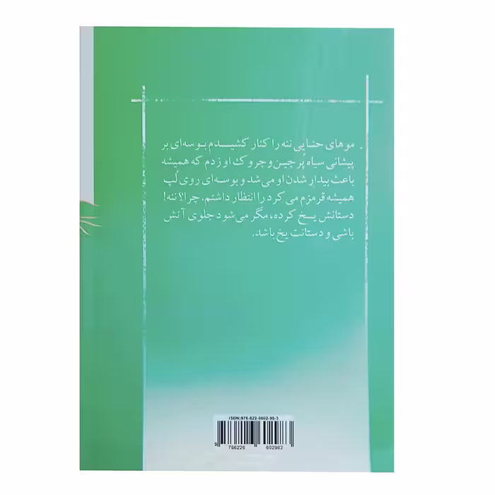 کتاب مجموعه ای بی انتها اثر زینب سیروس گیلوان نشر خیابان