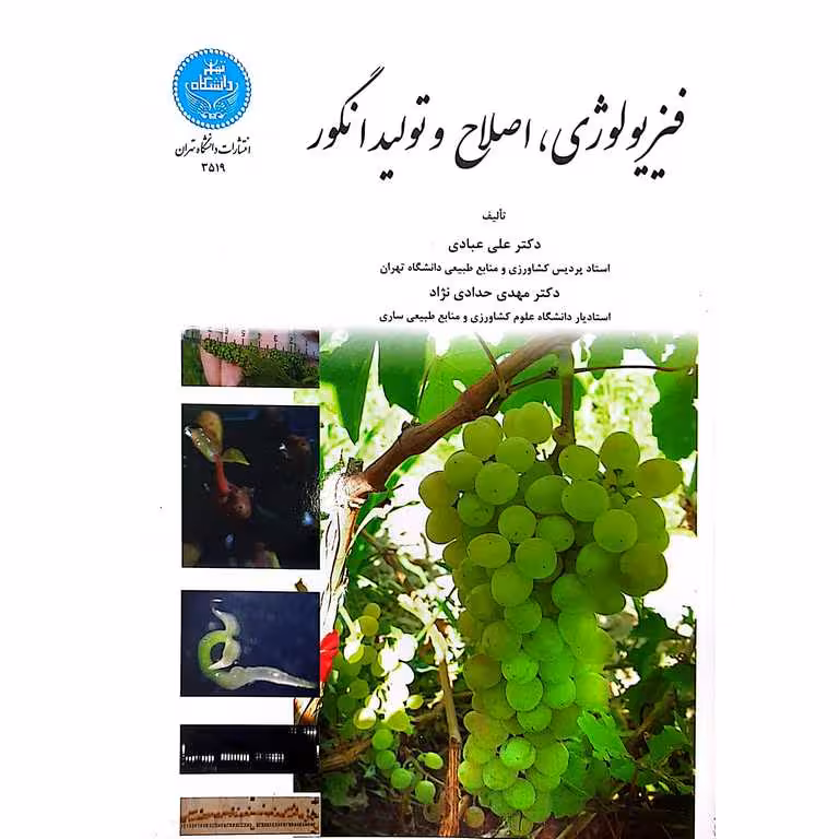 فیزیولوژی، اصلاح و تولید انگور