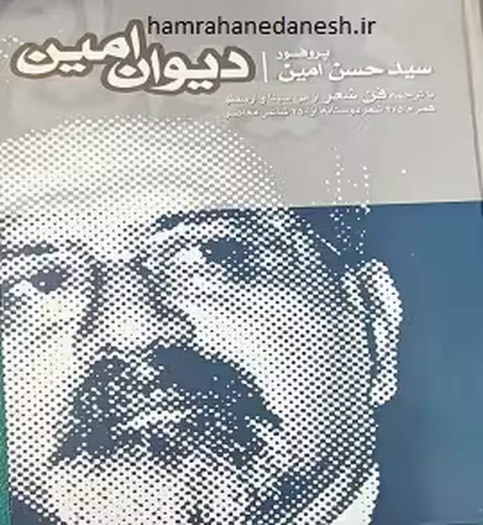 دیوان امین با ترجمه فن شعر