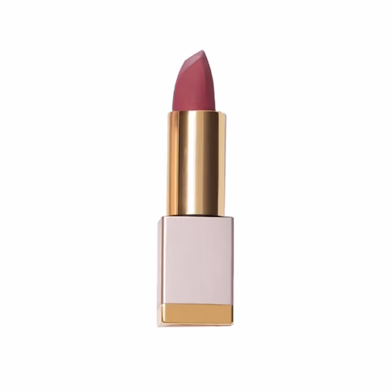 رژ لب جامد شیگلم مات کرم الور مدل Dry Rose_c301