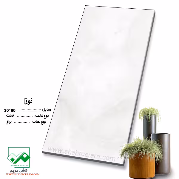 سرامیک نوژا 60*30 کاشی مریم