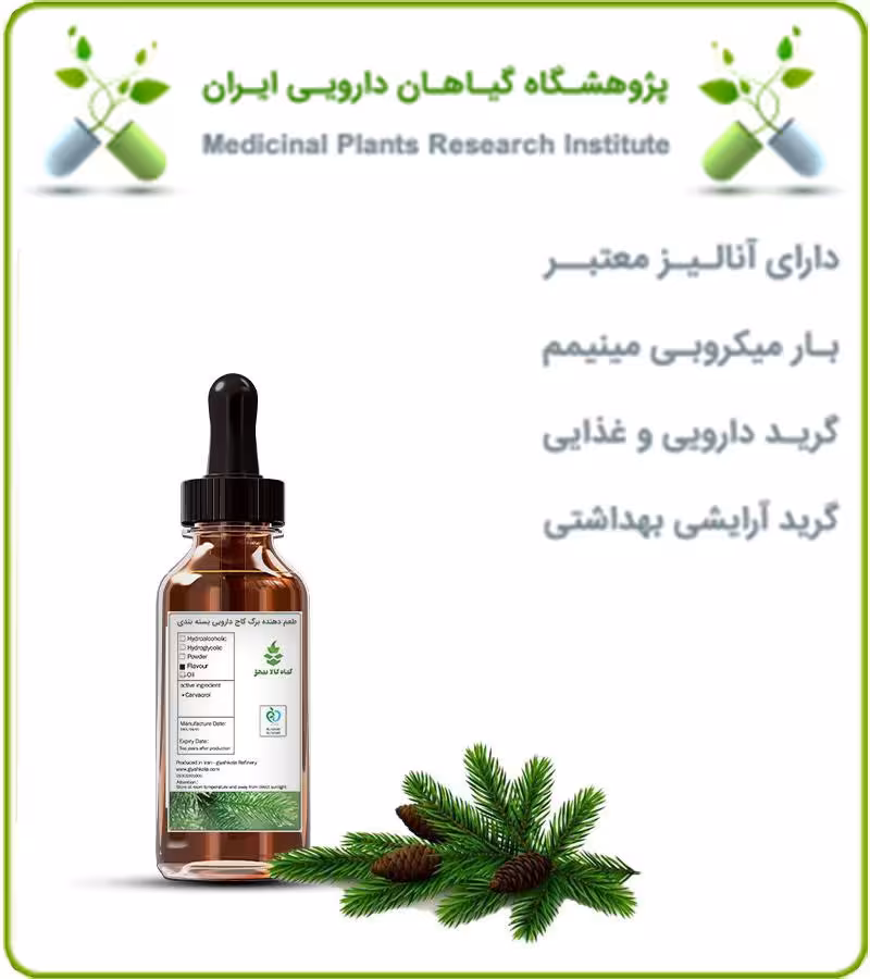 طعم دهنده برگ کاج دارویی بسته بندی