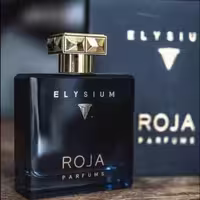 عطر روژا الیزیوم ( مردانه ) ده میل