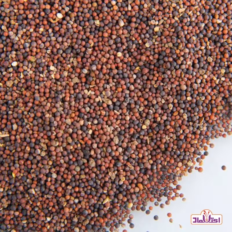 بذر شلغم100 گرمی اعتماد | amazonchi