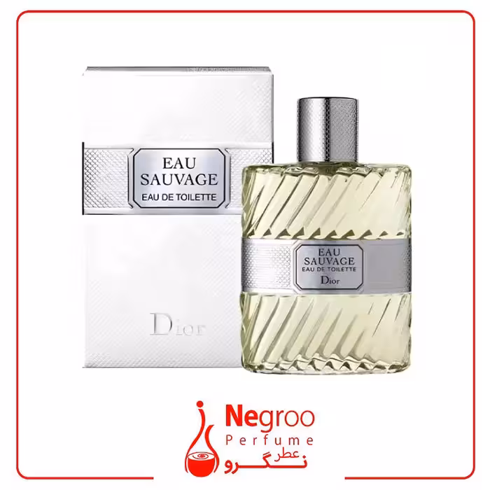 عطر ادکلن دیور او ساواج ادو تویلت 200 میل Dior Eau Sauvage