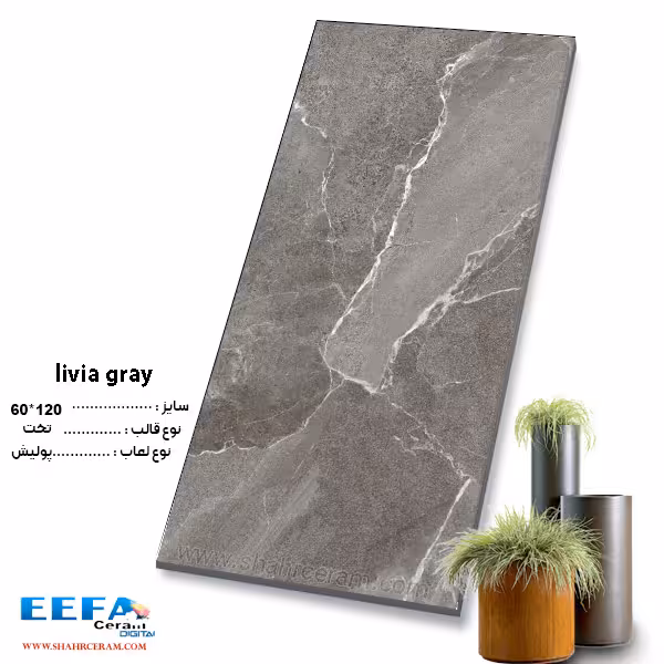 سرامیک لیویا طوسی 120*60 ایفا سرام