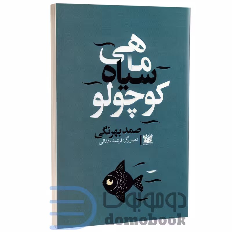 کتاب ماهی سیاه کوچولو اثر صمد بهرنگی انتشارات پارس اندیش دو زبانه
