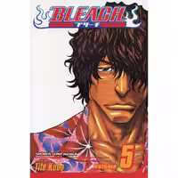 Bleach v05