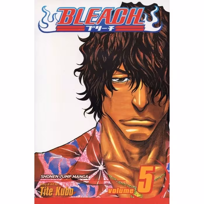 Bleach v05