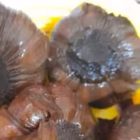 ترشی سیر سیاه ریز چهارساله(2200گرمی)