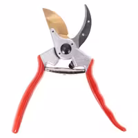 قیچی باغبانی V-2 واستر