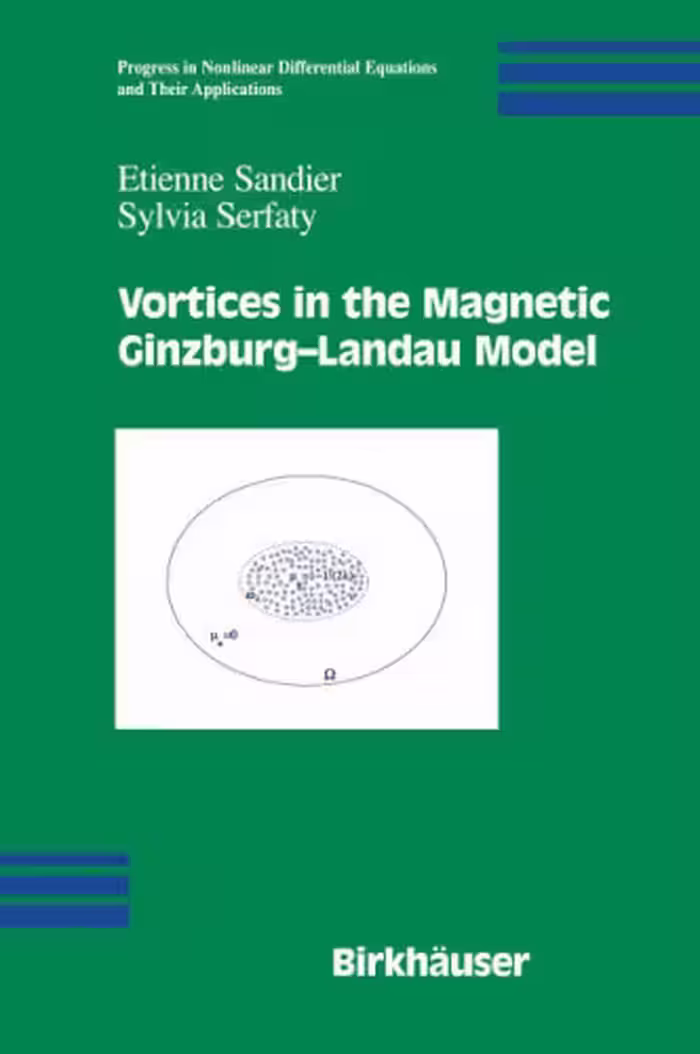 خرید و دانلود نسخه کامل کتاب Vortices in the Magnetic Ginzburg-Landau Model