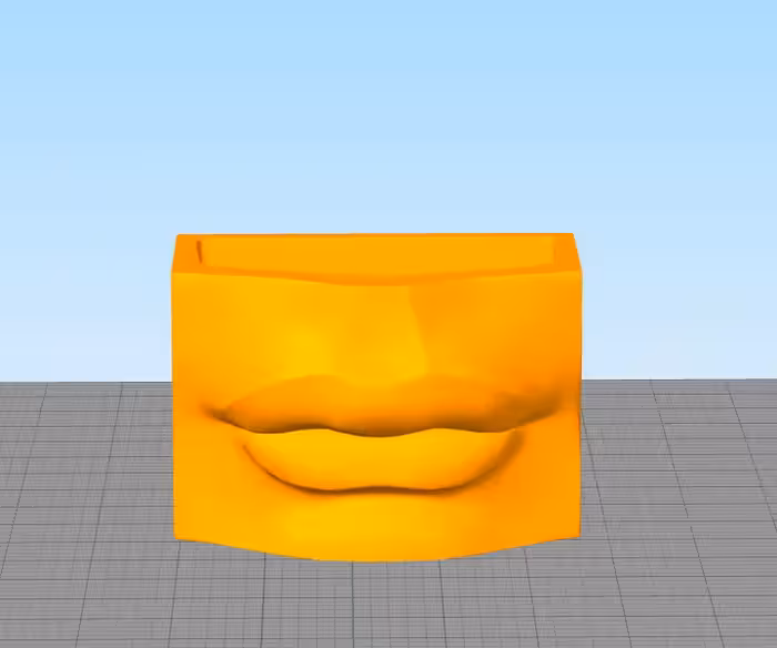 مدل سه بعدی گلدان لب کد02 (STL)