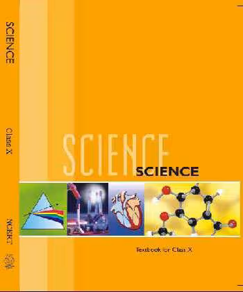 خرید و دانلود نسخه کامل کتاب Science 10
