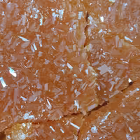 نبات کاسه دوآتیشه عمده 30 کیلویی
