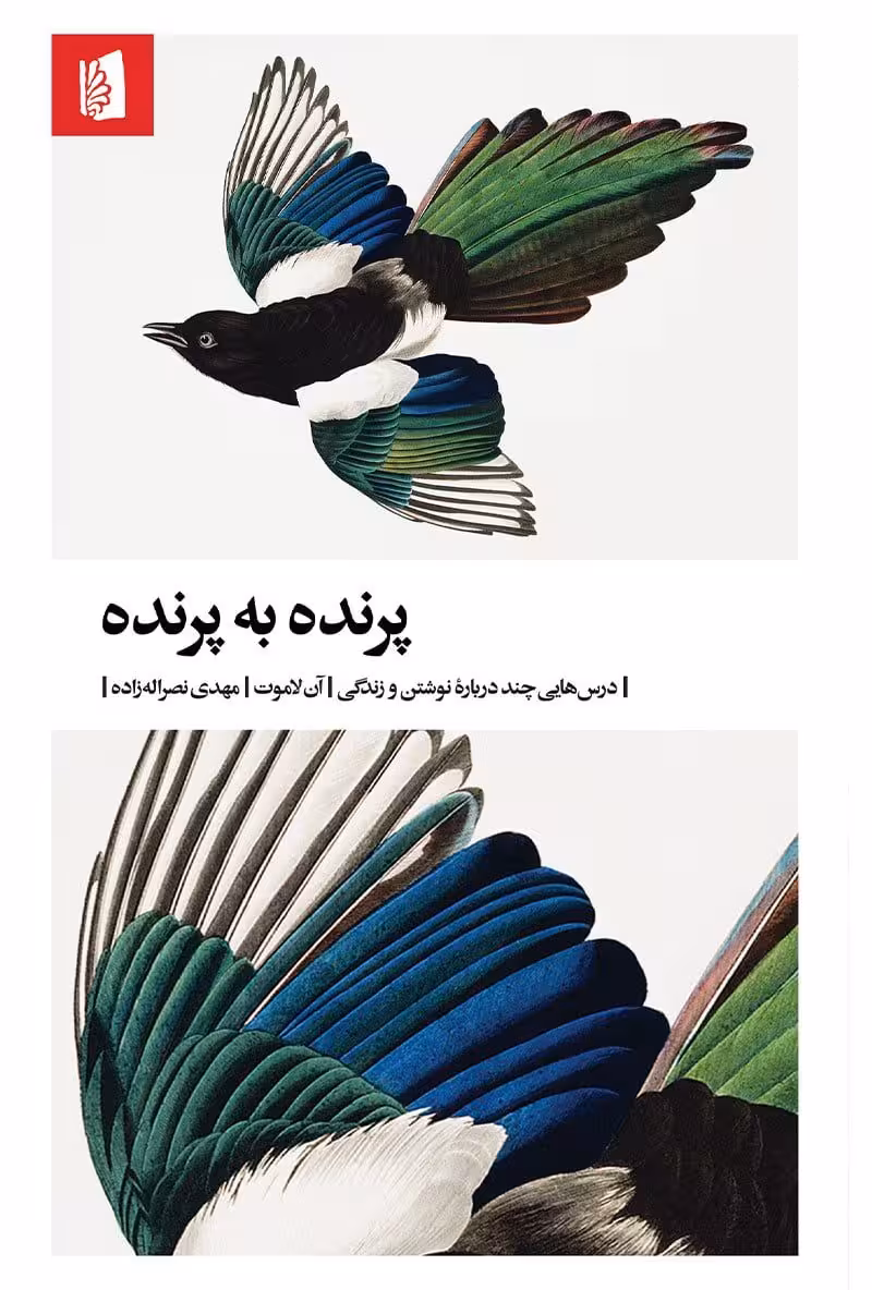 کتاب پرنده به پرنده (درس هایی چند درباره ی نوشتن و زندگی)