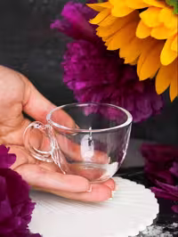 فنجان قهوه خوری بیسیک