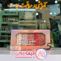هایلایتر 5 رنگ برند آرت اسکین artskin