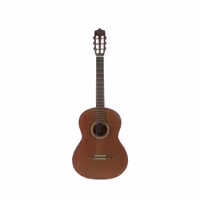 گیتار کلاسیک پارسی Parsi M6